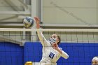 Women’s VB intersquad  Women’s Volleyball inter-squad match. : Women’s Volleyball, VB, inter squad, intersquad